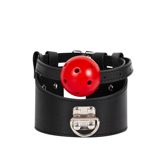 mordaza de cuero y collar