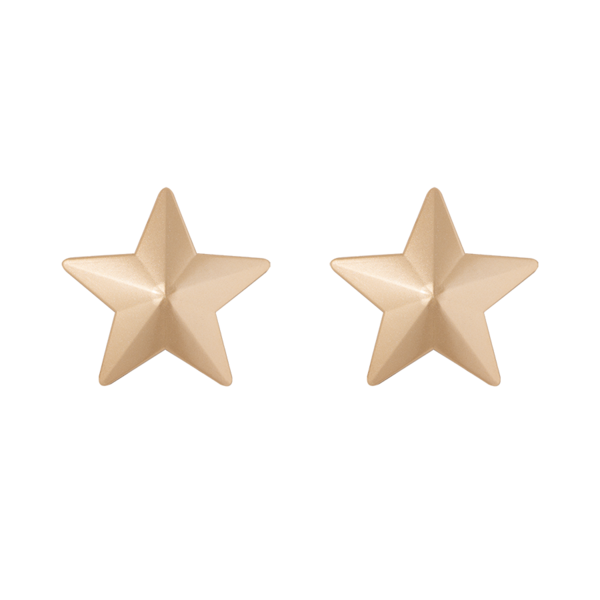 cubre pezon de estrellas 