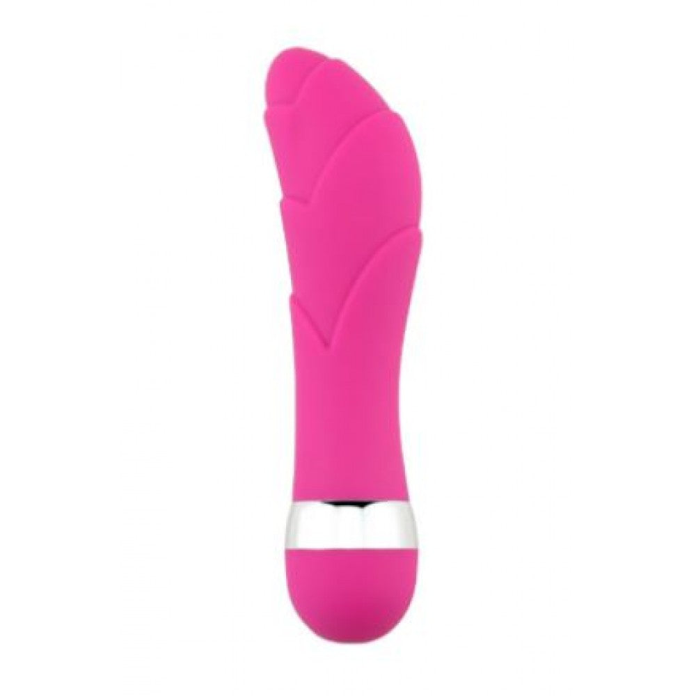 vibrador mini tupuntosex ina betancurt sexshop